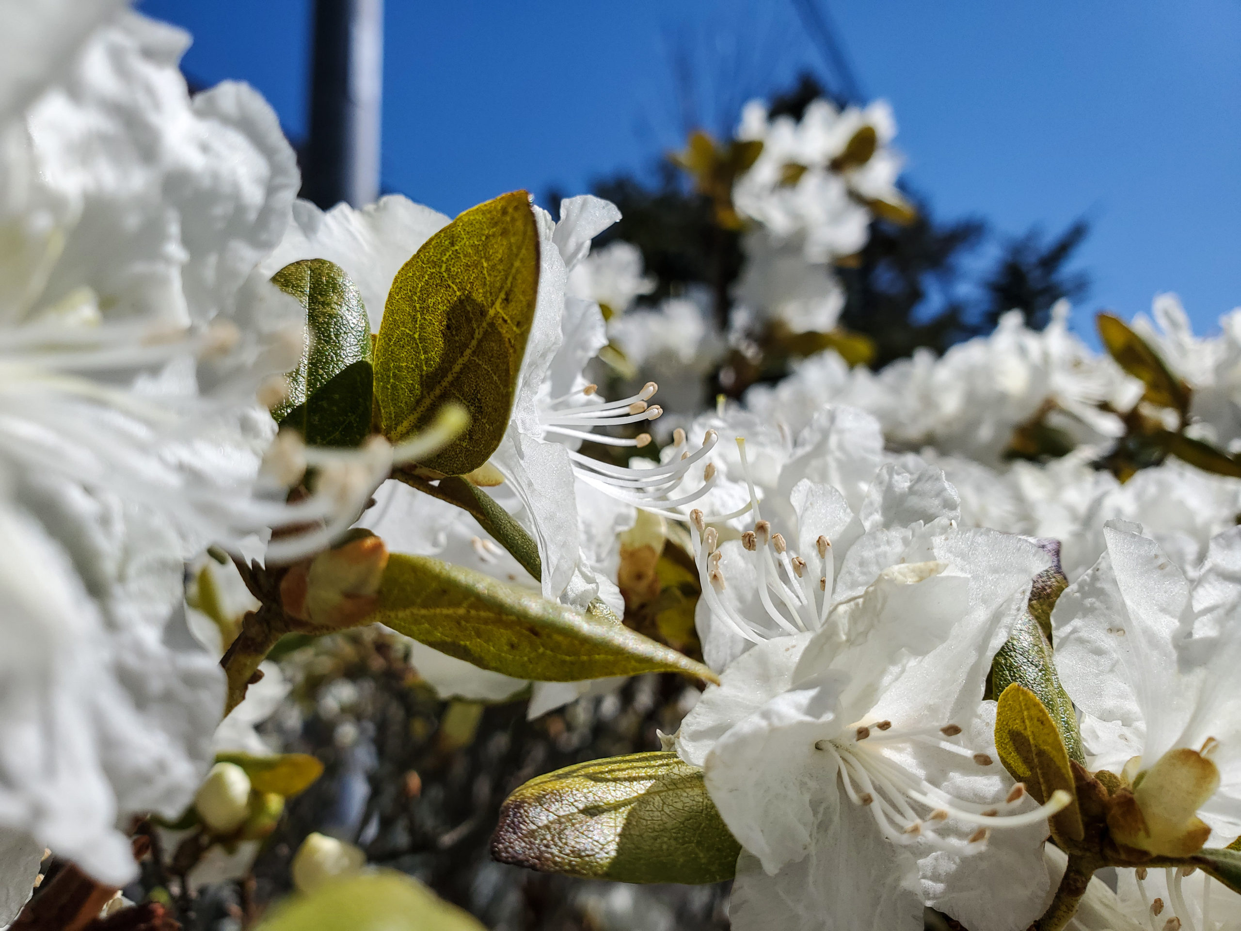 Springtime = New Life + A New Job (Maybe)